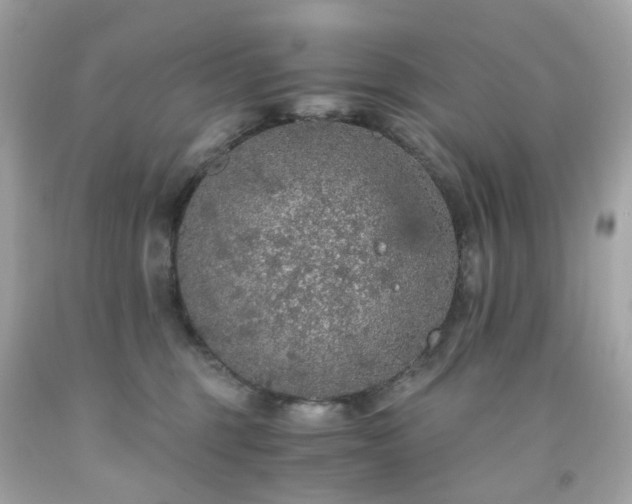 X0000091940375200709121624