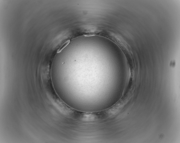 X0000091940376200709121624