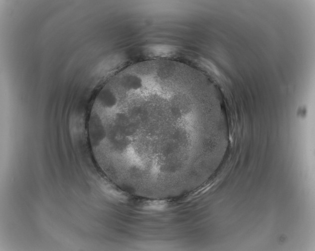 X0000091940377200709121624