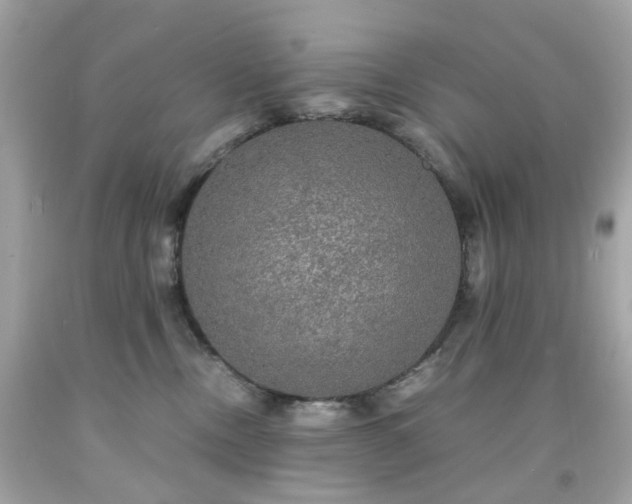 X0000091940378200709121624