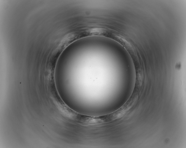 X0000091940379200709121624