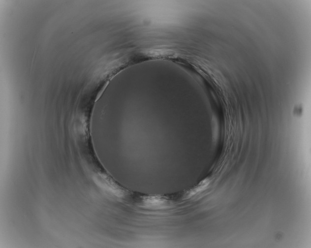 X0000091940380200709121624