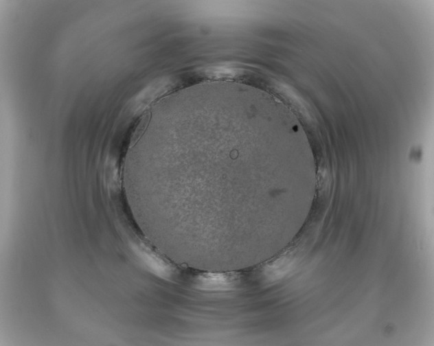 X0000091940381200709121624