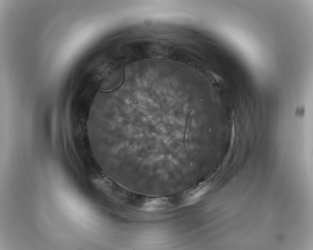 X0000091940382200709121624