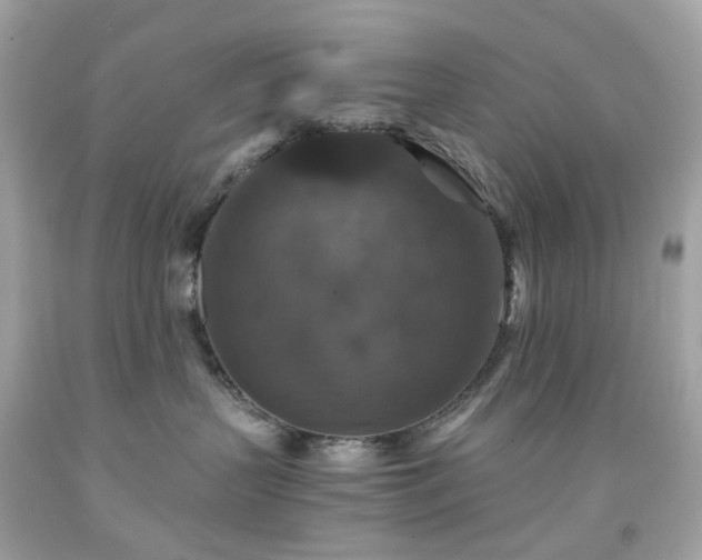 X0000091940383200709121624