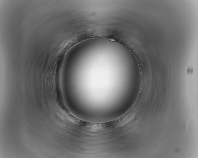 X0000091940384200709121624