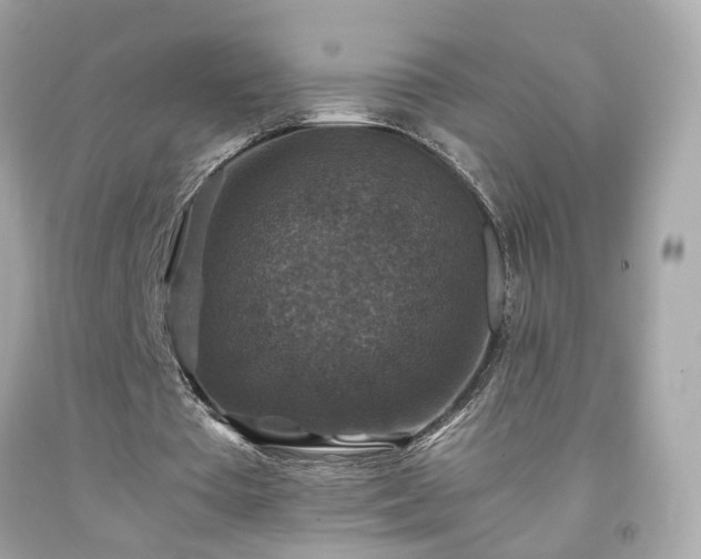 X0000091940385200709121623