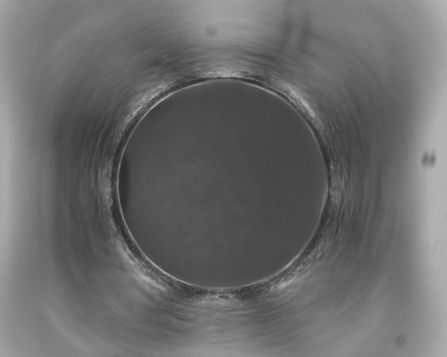 X0000091940386200709121623