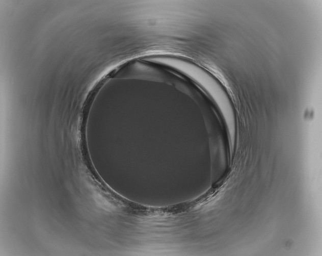 X0000091940387200709121623