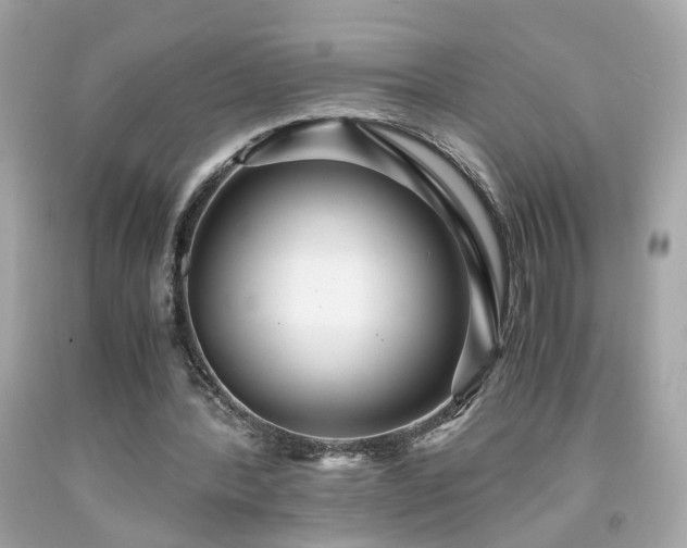 X0000091940388200709121623