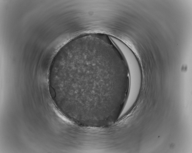 X0000091940389200709121623