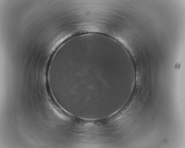 X0000091940390200709121623