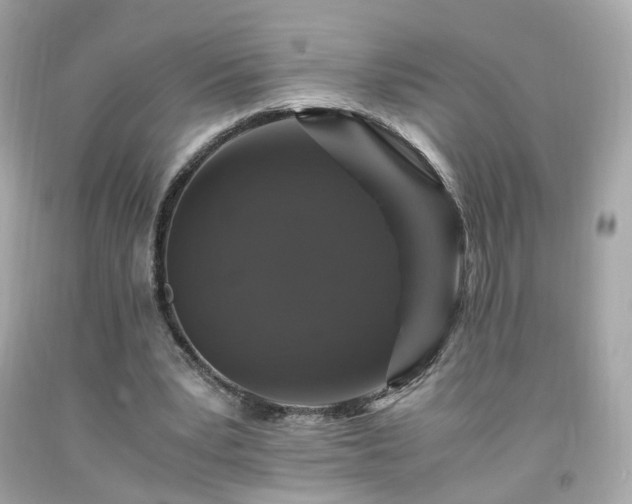 X0000091940391200709121623