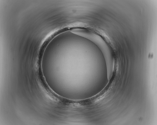 X0000091940392200709121623