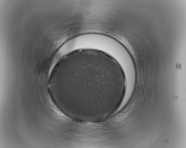 X0000091940393200709121623