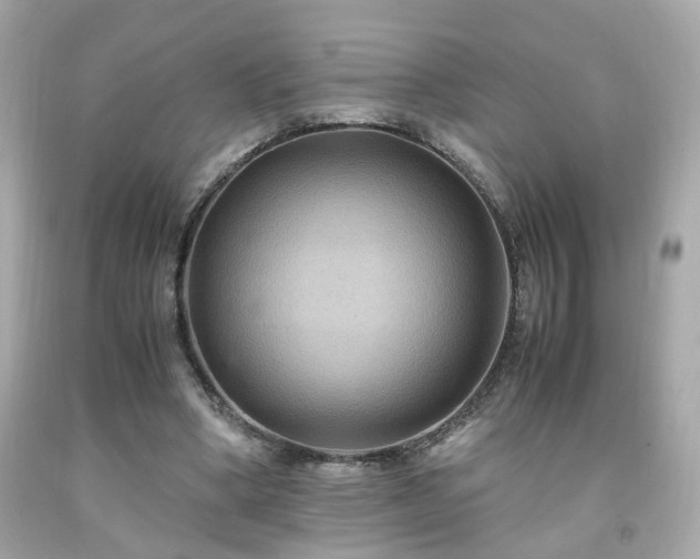 X0000091940394200709121623