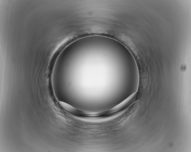 X0000091940395200709121623