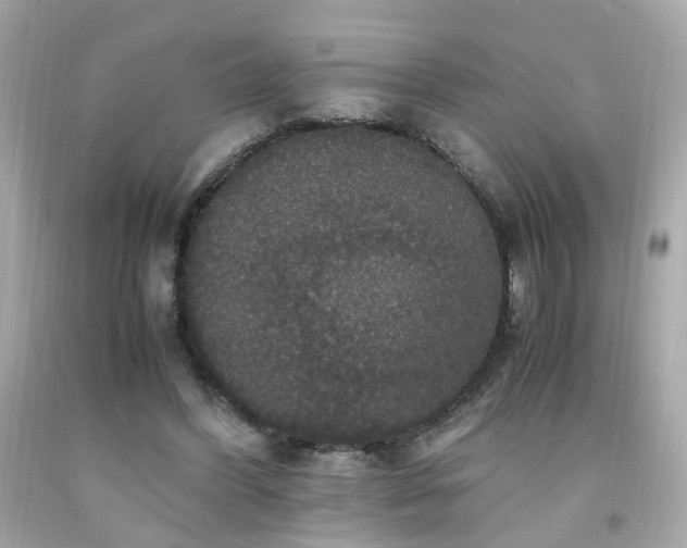 X0000091940396200709121623