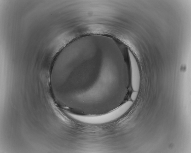 X0000091940397200709121623