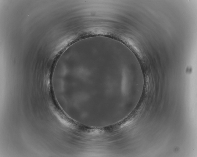 X0000091940398200709121623