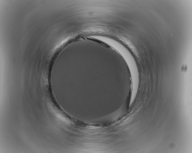 X0000091940399200709121623