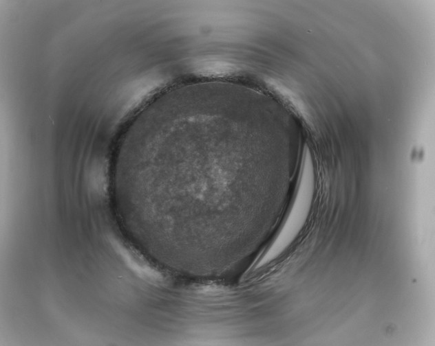 X0000091940400200709121623