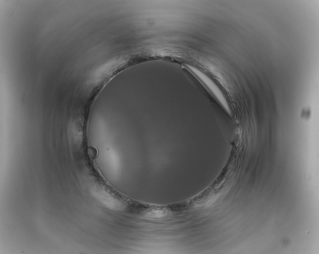 X0000091940402200709121623