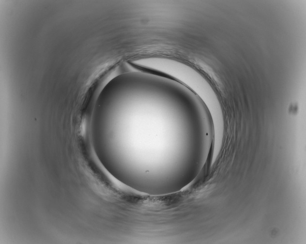 X0000091940403200709121623