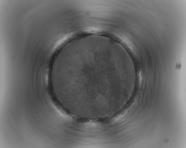 X0000091940404200709121623