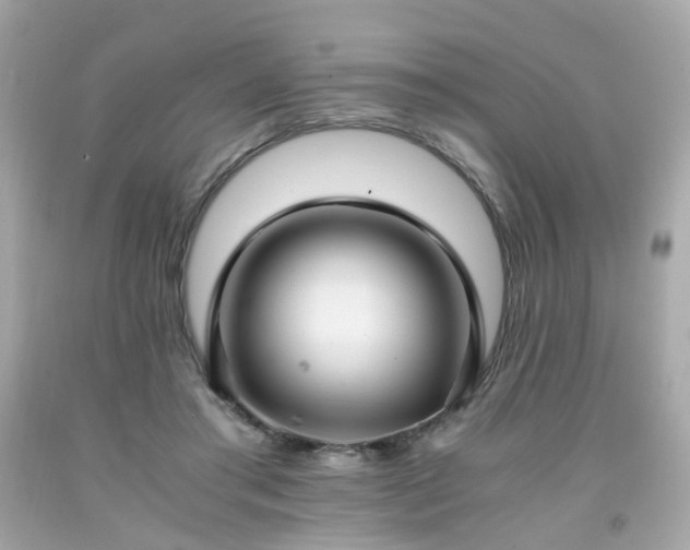 X0000091940405200709121623