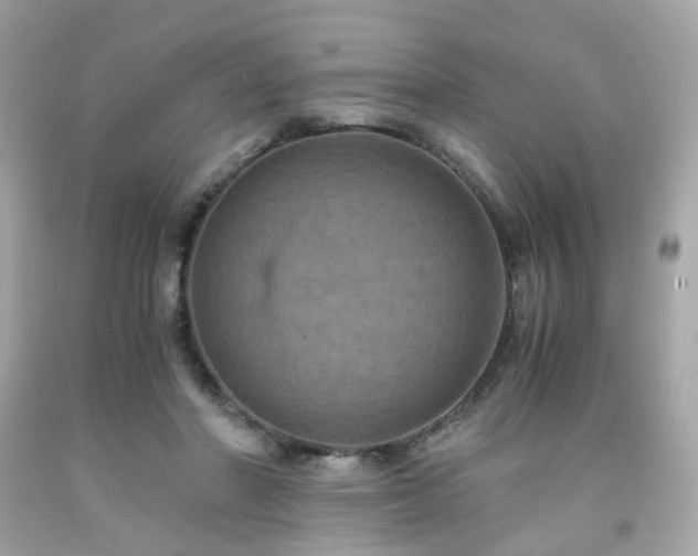 X0000091940406200709121623