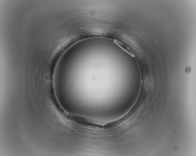 X0000091940407200709121623