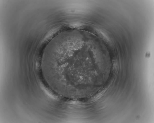 X0000091940408200709121623