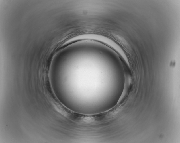 X0000091940409200709121623