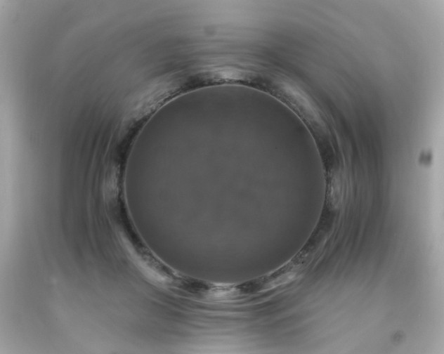 X0000091940410200709121623