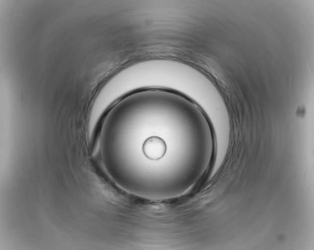 X0000091940411200709121623