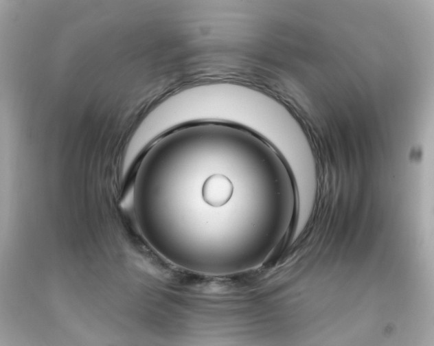 X0000091940412200709121623