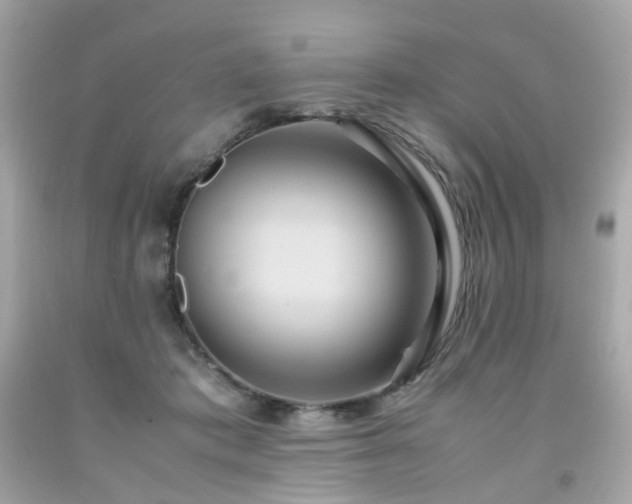 X0000091940413200709121623