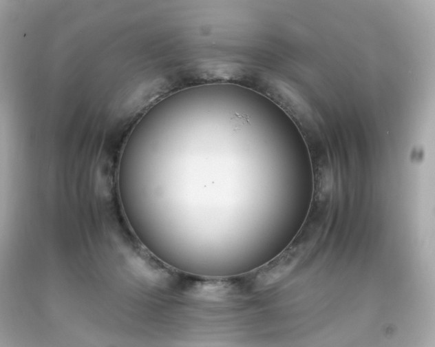 X0000091940414200709121623