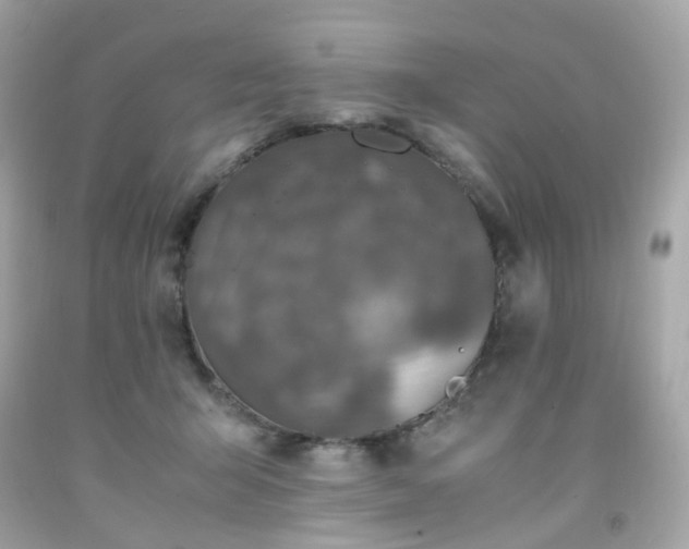 X0000091940415200709121623