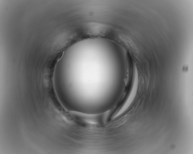 X0000091940416200709121623