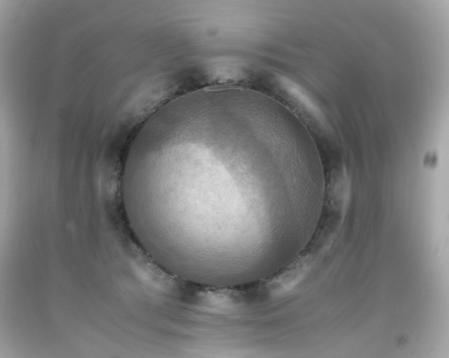 X0000091940417200709121623