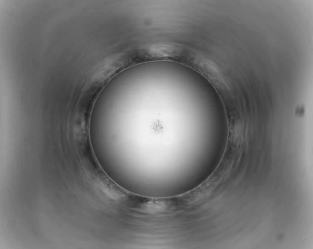 X0000091940418200709121623