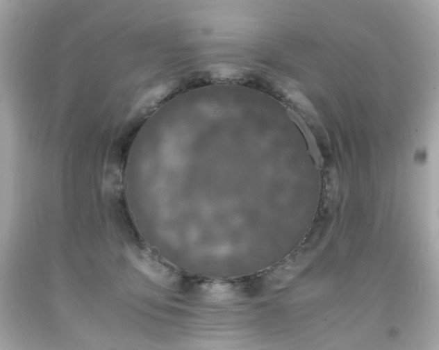 X0000091940419200709121623