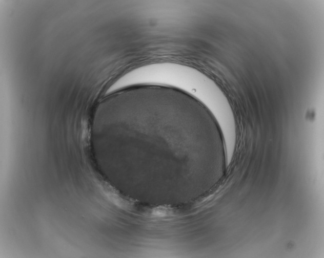 X0000091940420200709121623