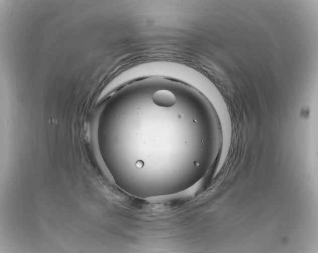 X0000091940421200709121623