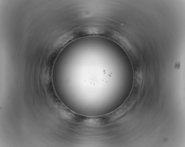 X0000091940422200709121623