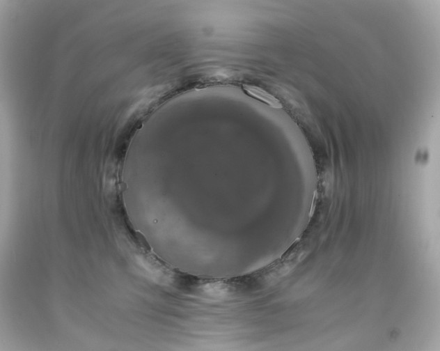 X0000091940423200709121623