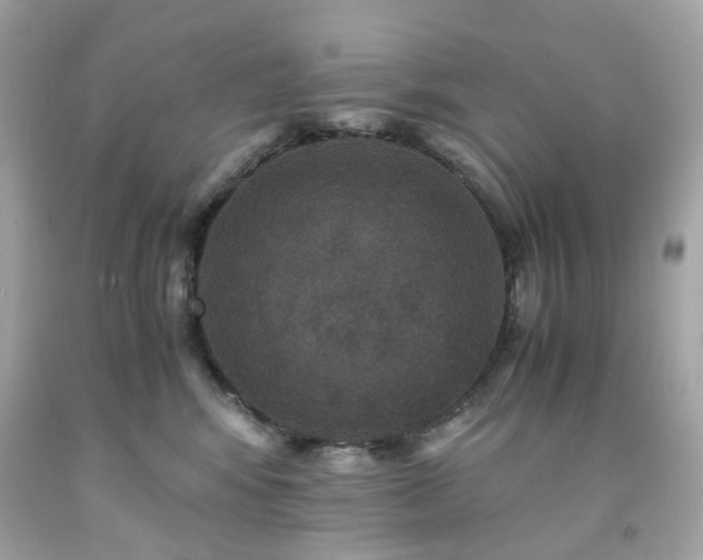 X0000091940424200709121623