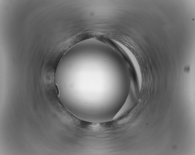 X0000091940425200709121623